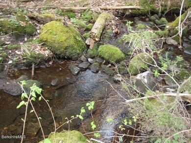 Brook