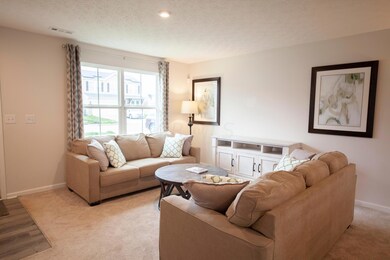 3 SaltSpring_022