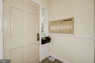 4317 36th St S unit A2, Arlington, VA 22206 - photo 3