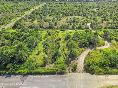 1014 Ponder St SW, Palm Bay, FL 32908 - photo 5