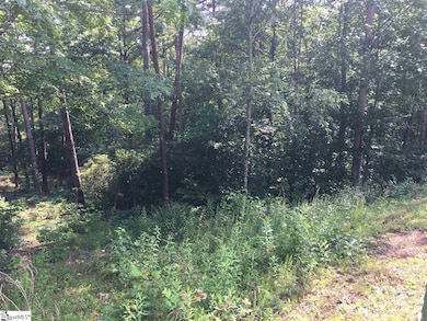 120 Ridgerunner Way, Travelers Rest, SC 29690 - photo 2