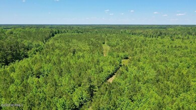DJI_0309