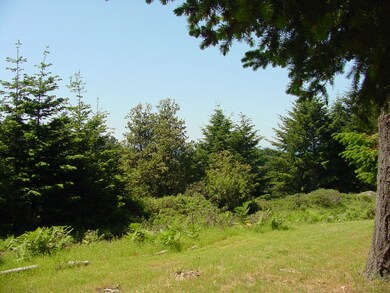 DSC00021