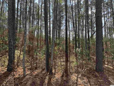 TBD-A3 Highway 668, Conway, SC 29526 - photo 2