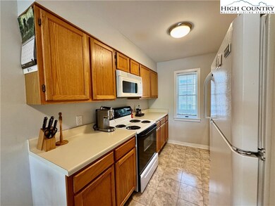 Daniel Boone Condominiums unit 4-B, Boone, NC 28607 - photo 7