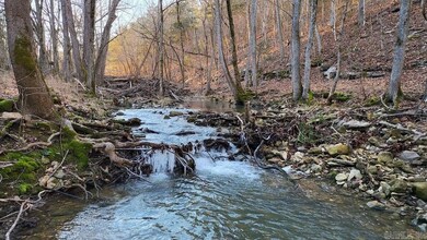 0 Punkin Flat Rd unit 25022106, Marshall, AR 72650 - photo 4