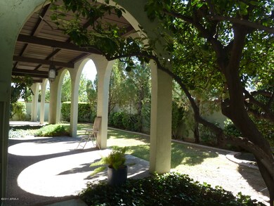 Back Yard Arched Covered Patio