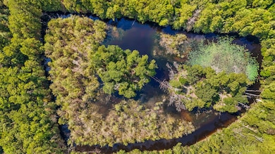 0000 County Road 4926, Fred, TX 77616 - photo 4