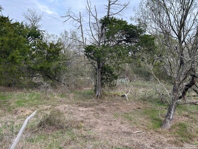 141 N Eskew Ln, Wyldwood, TX 78612 - photo 6