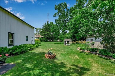 summer backyard