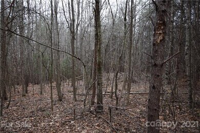 00 Robinson Yelton Rd, Clover, SC 29710 - photo 4