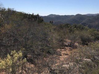 7 Sandhurst Way, Hidden Meadows, CA 92026 - photo 3