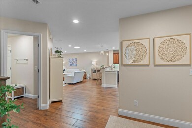 21719 Belgian Ct, Mount Dora, FL 32757 - photo 5