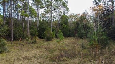 0 NW 30th St unit 796107, Chiefland, FL 32626 - photo 2