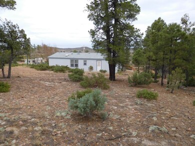 818 Antelope Trail, Show Low, AZ 85901 - photo 2