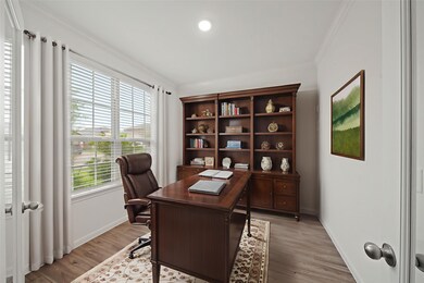 Bathed in beautiful natural light from the wall of