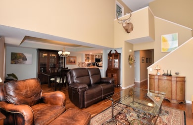 Living Room Vaulted Ceilings