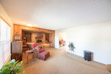 Living Room-light and bright