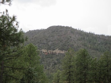 6530 W Ruin Hill Loop unit 150, Pine, AZ 85544 - photo 5