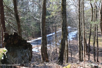 IMG_0218