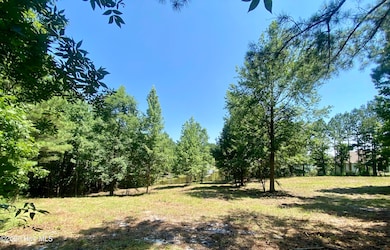 291 Gails Rd, Seven Lakes, NC 27376 - photo 3