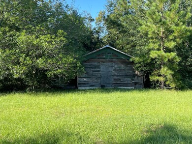 220 Strickland St, Reidsville, GA 30453 - photo 7