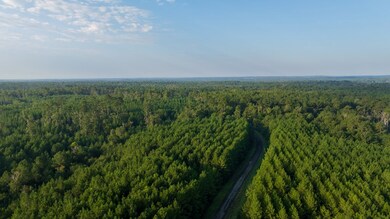 107540 County Road 037, Jasper, TX 75951 - photo 5