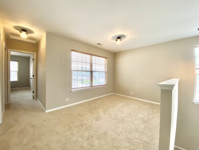202 Grandview Ct unit 2, Algonquin, IL 60102 - photo 4