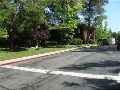 Roadway into Alpine Oaks