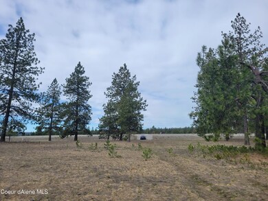 NNA N Williams Ln, Athol, ID 83801 - photo 2