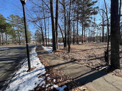 13513 Otter Creek, Little Rock, AR 72210 - photo 3