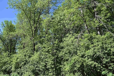 10XX W Bigelow St, Washburn, WI 54891 - photo 3