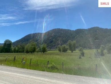 NNA (7800) 20 Ac Blue Lake Rd, Priest River, ID 83856 - photo 3