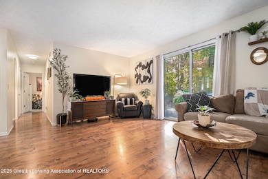 5636 Ellendale Dr, Lansing, MI 48911 - photo 4