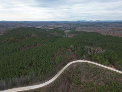 606 Spears Mountain Rd, Wingina, VA 24599 - photo 5