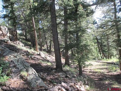 0 Slumgullion Trail unit 755408, Powderhorn, CO 81243 - photo 2