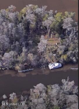 Lot 4 Dewfran Island, Moss Point, MS 39562 - photo 2