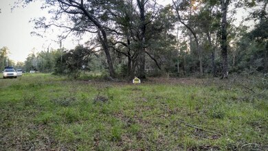 0 Imaginary Ln unit 263416, Crawfordville, FL 32327 - photo 4