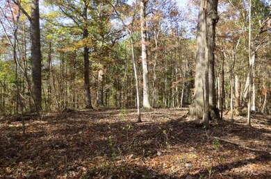 open area near rod