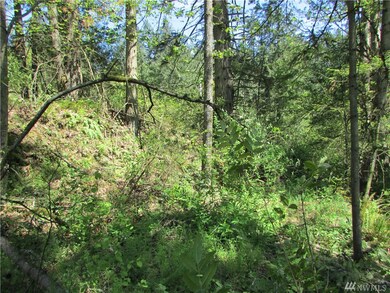 23820 S Prairie Rd E, Buckley, WA 98321 - photo 2