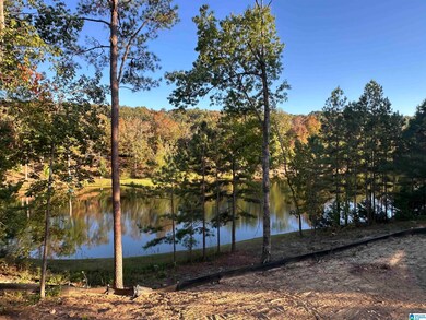 4045 Laurel Lakes Way, Helena, AL 35022 - photo 6