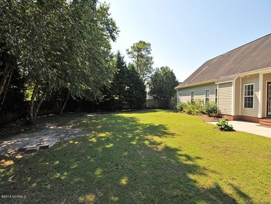 Backyard (1)