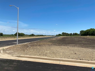 0 Lot 12 Blk 2 Kemper St, Viborg, SD 57070 - photo 5