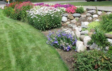 Driveway flowers2