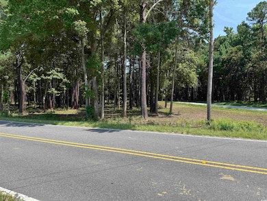 View of asphalt street with a forest view