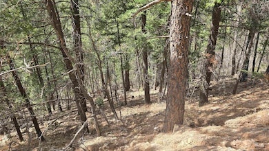 Lots2,3,9,10 Henry Summit Dr unit 23910, High Rolls, NM 88317 - photo 5