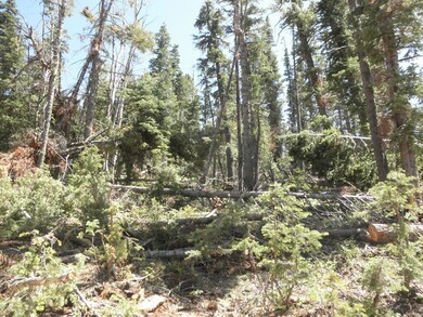 905 W Twisted Trail unit ZVME Un E Lot 113, Duck Creek Village, UT 84762 - photo 3