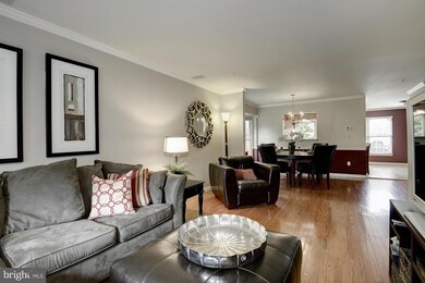 16831 Centerfield Way, Olney, MD 20832 - photo 5