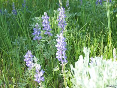 TBD Beaver Creek Rd Lot 4 Porcupine Pine Sub, Big Sky, MT 59716 - photo 7