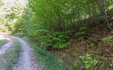 Additional View
